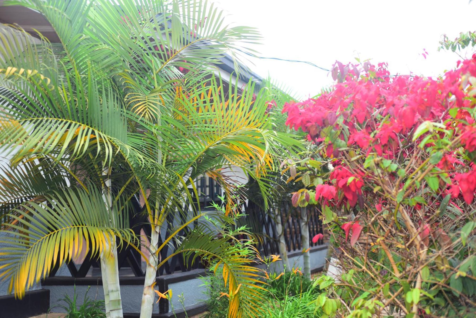 Kabarondo Akagera Neighbors B&B 외부 사진